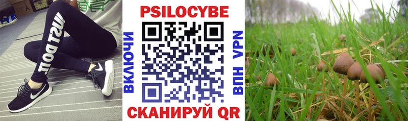 Псилоцибиновые грибы Magic Shrooms  hydra ССЫЛКА  Дыгулыбгей 